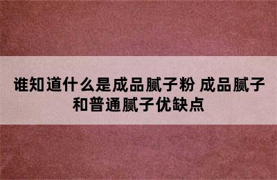 谁知道什么是成品腻子粉 成品腻子和普通腻子优缺点